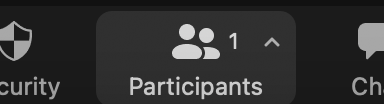 Participants button on Zoom